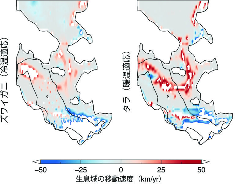 1993年から2016年までの東ベーリング海における冷温適応種(ズワイガニ)と暖温適応種(タラ)の生息域の移動速度。