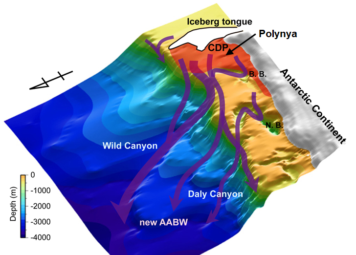 An illustration depicting the formation of Antarctic Bottom Water.
